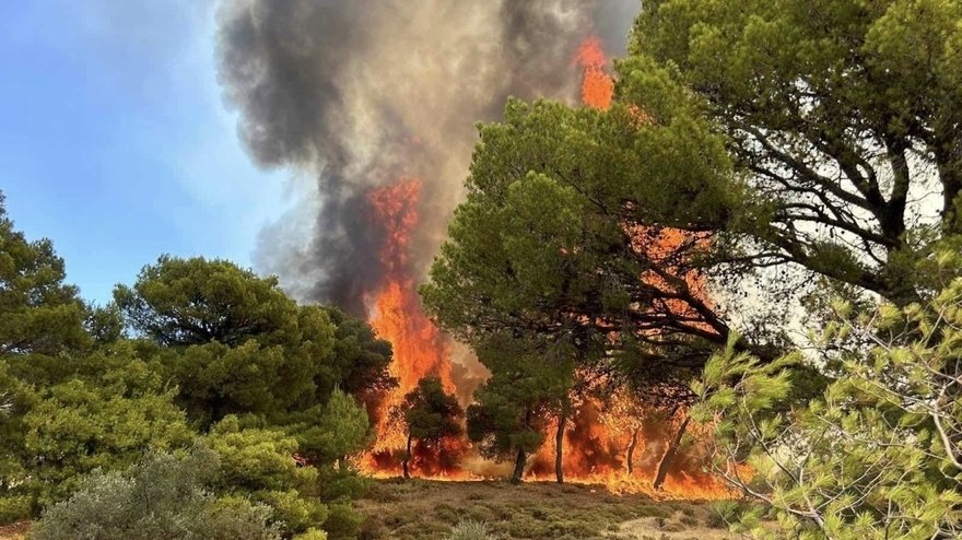 Συγκλόνισε ο Πρόεδρος της ΠΟΕΔΗΝ: «Ζούμε άλλη μία εθνική καταστροφή»