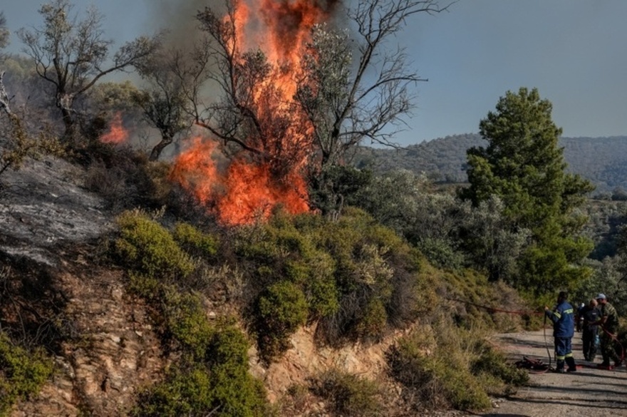 Δεν το παίζει κανένα κανάλι: Νέα Μεγάλη Φωτιά Τώρα – Μήνυμα από το 112, «κόκκινος» συναγερμός στην πυροσβεστική