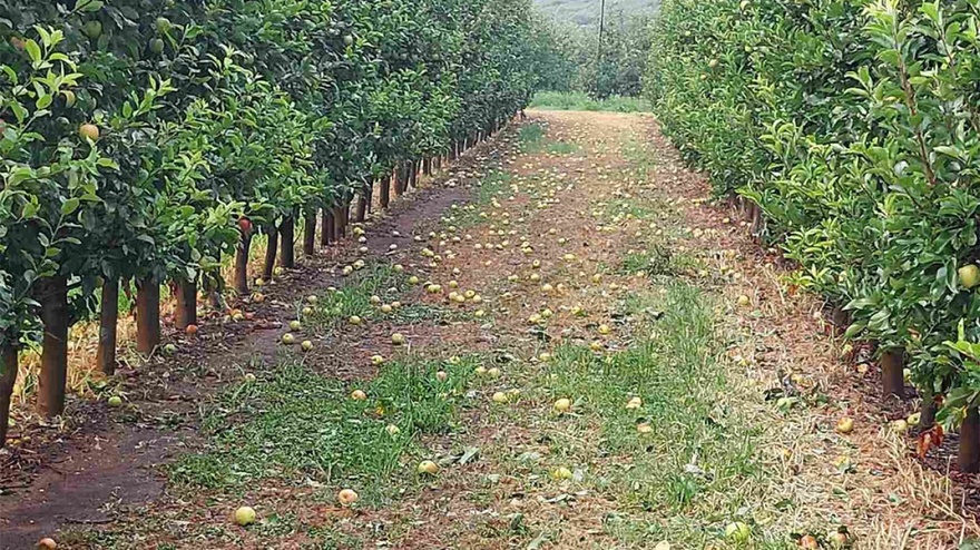 Καταστροφές στη Λάρισα από την κακοκαιρία – Ισχυρή χαλαζόπτωση, πλημμύρησαν δρόμοι