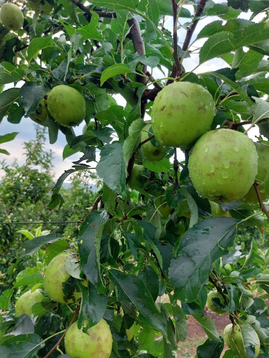 Καταστροφές στη Λάρισα από την κακοκαιρία – Ισχυρή χαλαζόπτωση, πλημμύρησαν δρόμοι