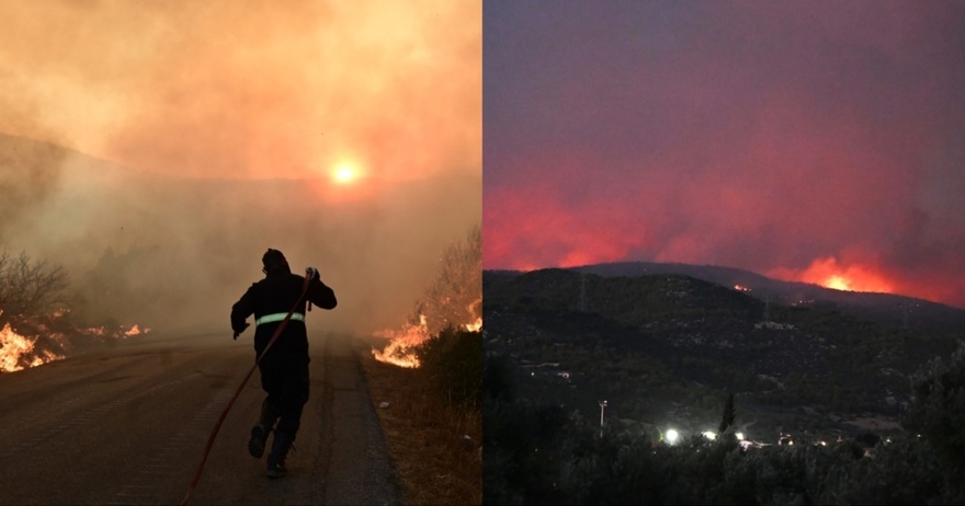 Από άγριο πτηνό ξεκίνησε η χθεσινή φωτιά στην Εύβοια – Τι έδειξαν τα ευρήματα της πυροσβεστικής